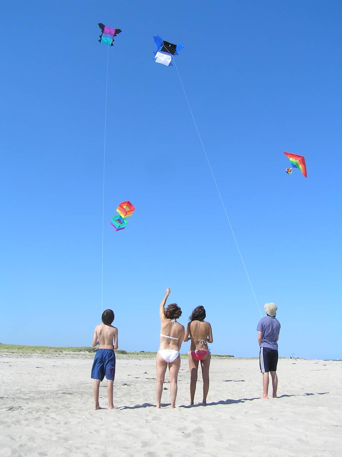 Vertical photo