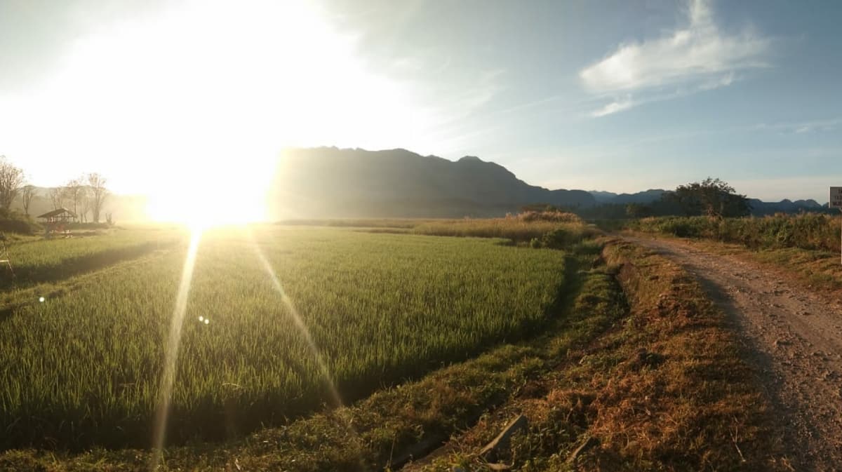 Gampong Nusa Cultural Village - Image 1