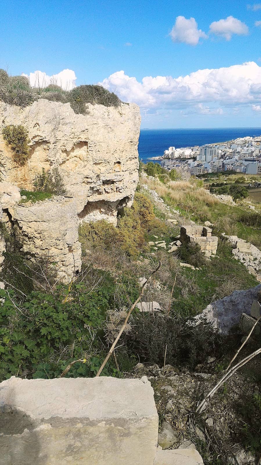 Vertical photo