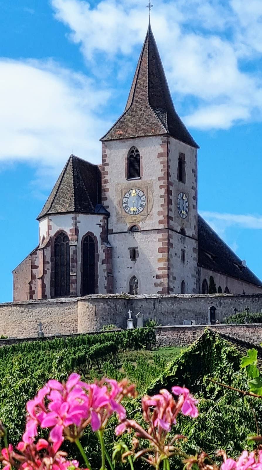Vertical photo