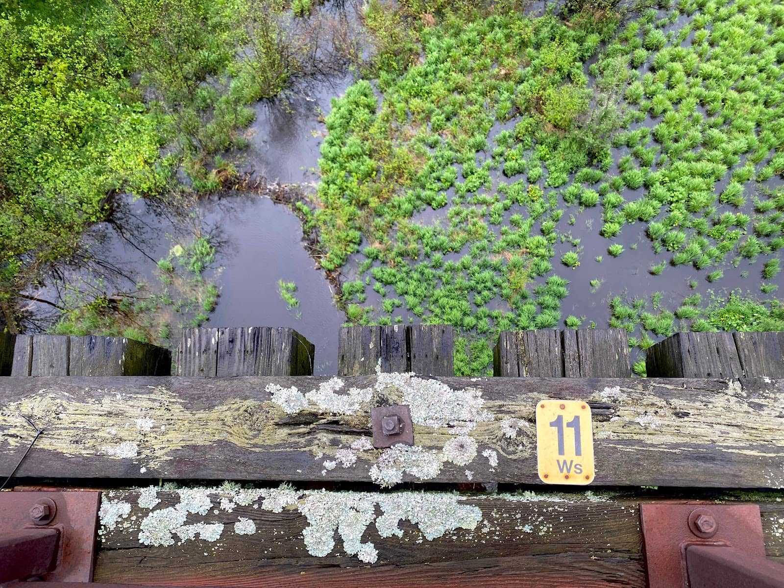 Vertical photo