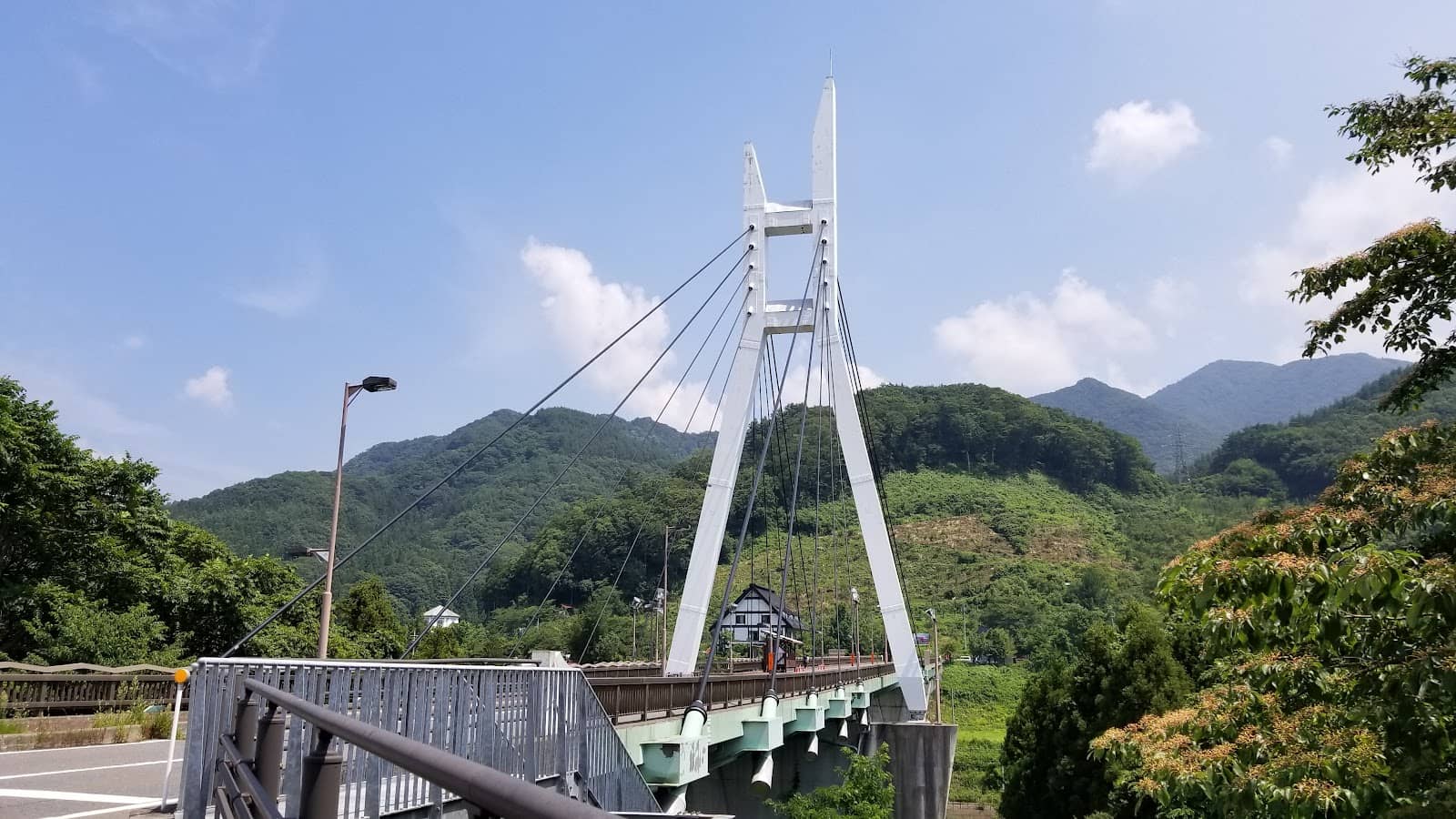 Vertical photo