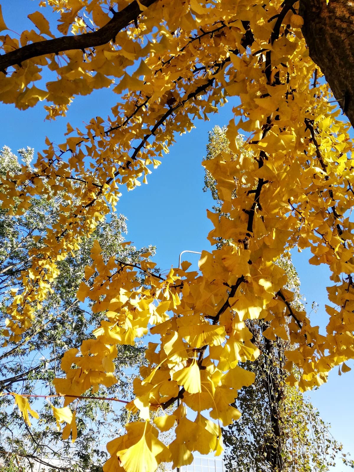 Vertical photo