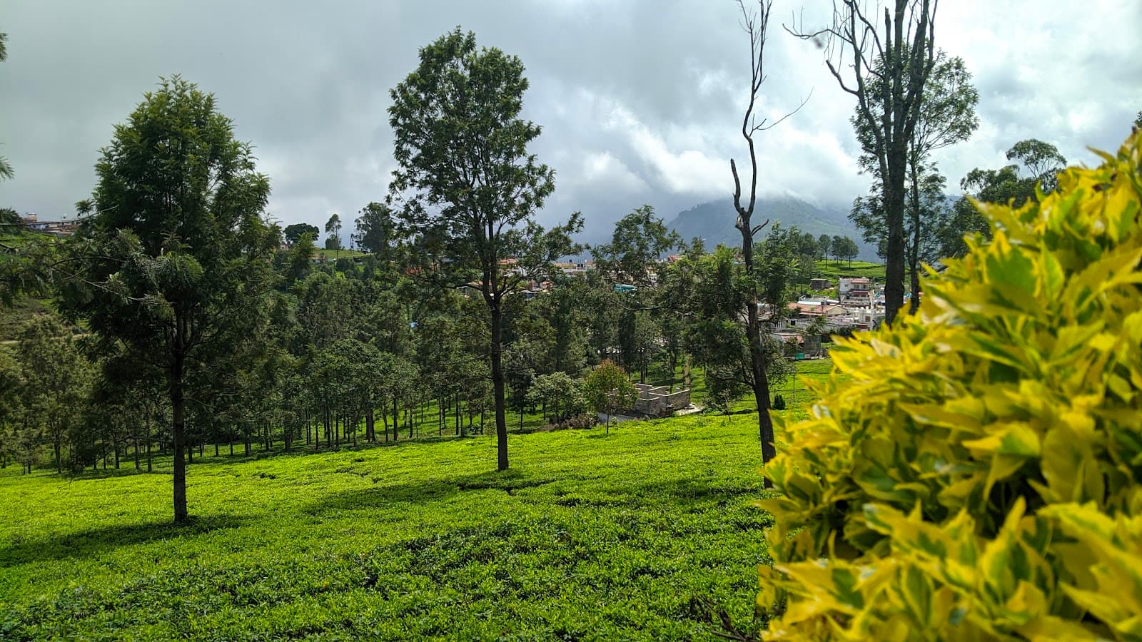 Kotagiri Nilgiris - Image 1