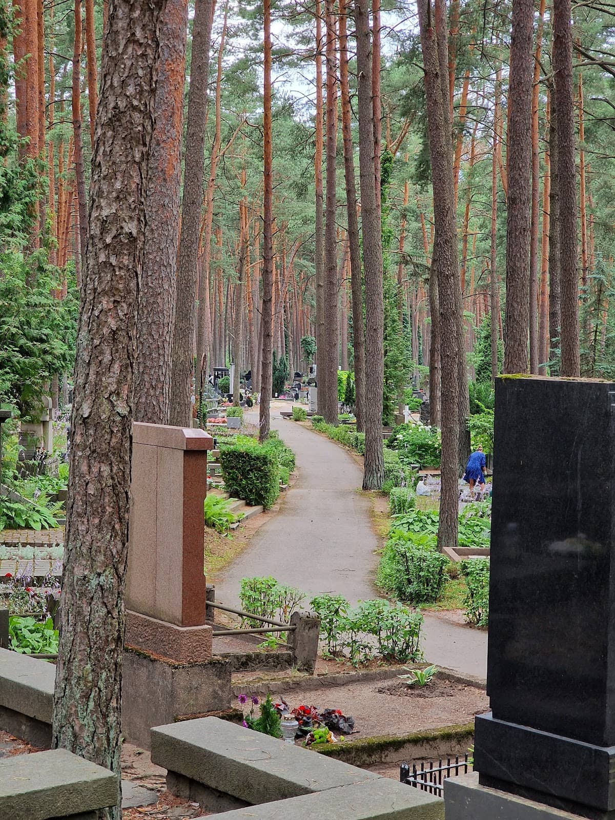 Vertical photo