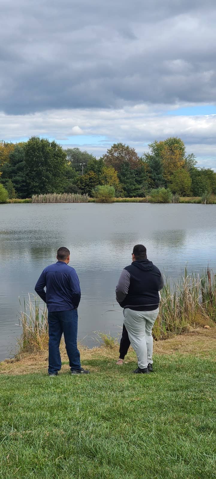 Musical Performances