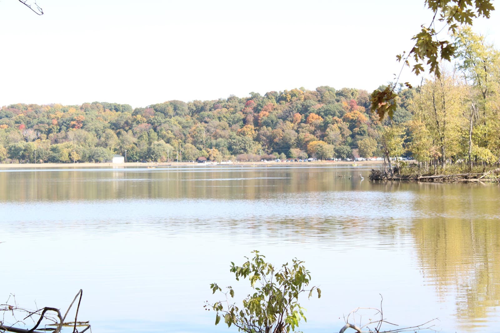 Sailboat Cove (Creve Coeur Lake) - Image 1