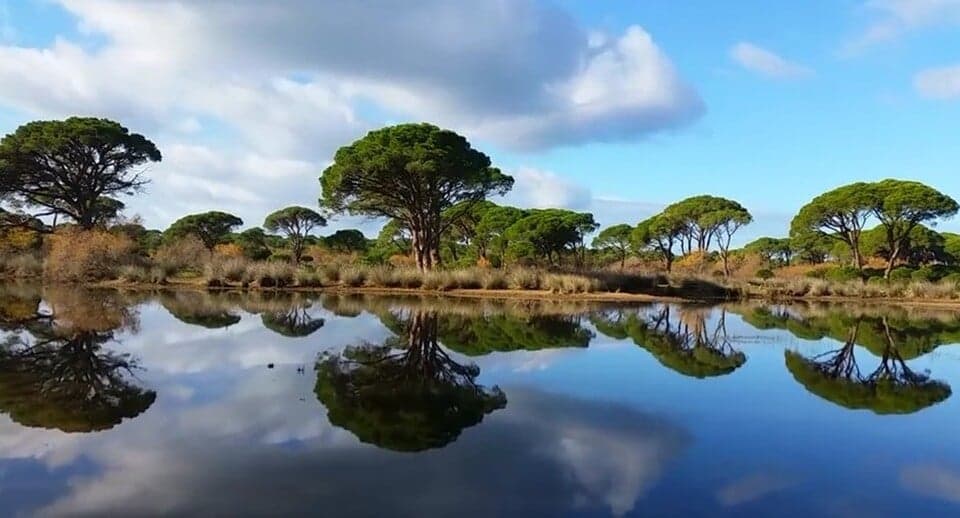 Strofylia Forest & Prokopos Lagoon - Image 1