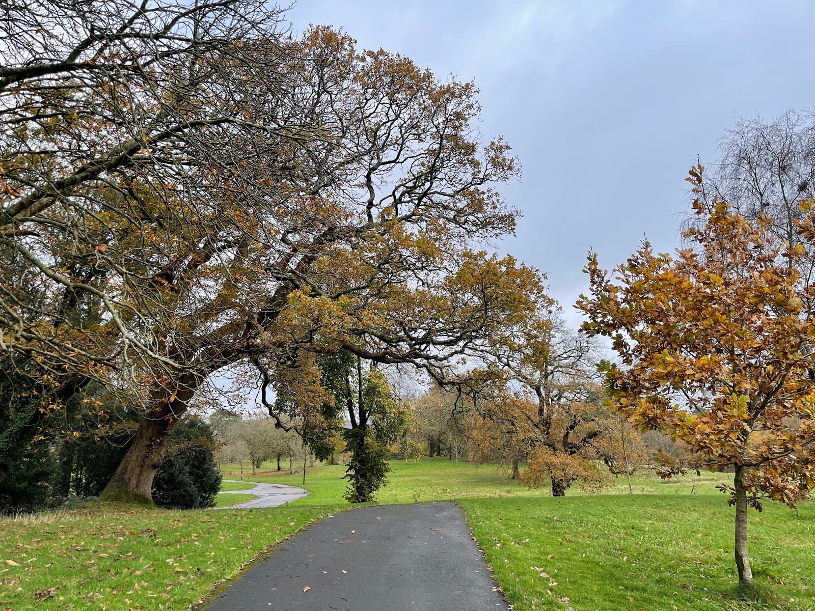 Singleton Park Swansea - Image 1