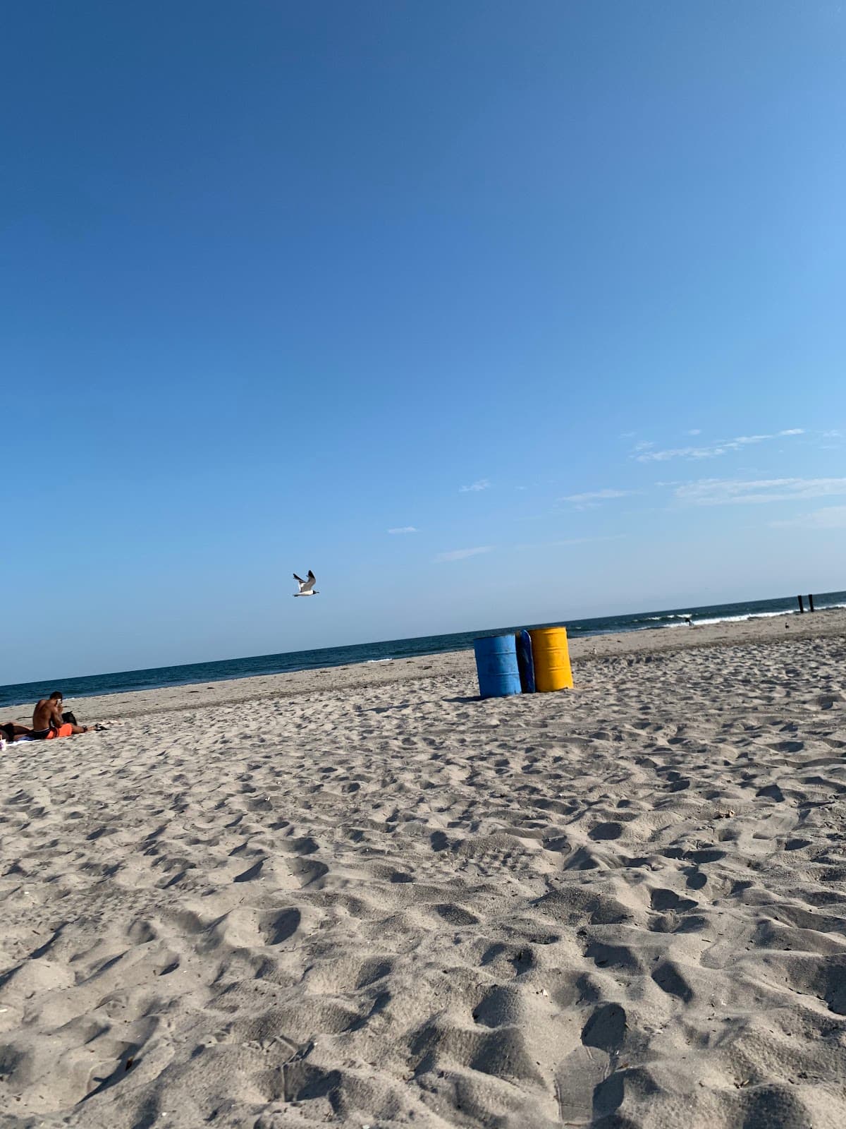 Chicken Bone Beach - Image 1