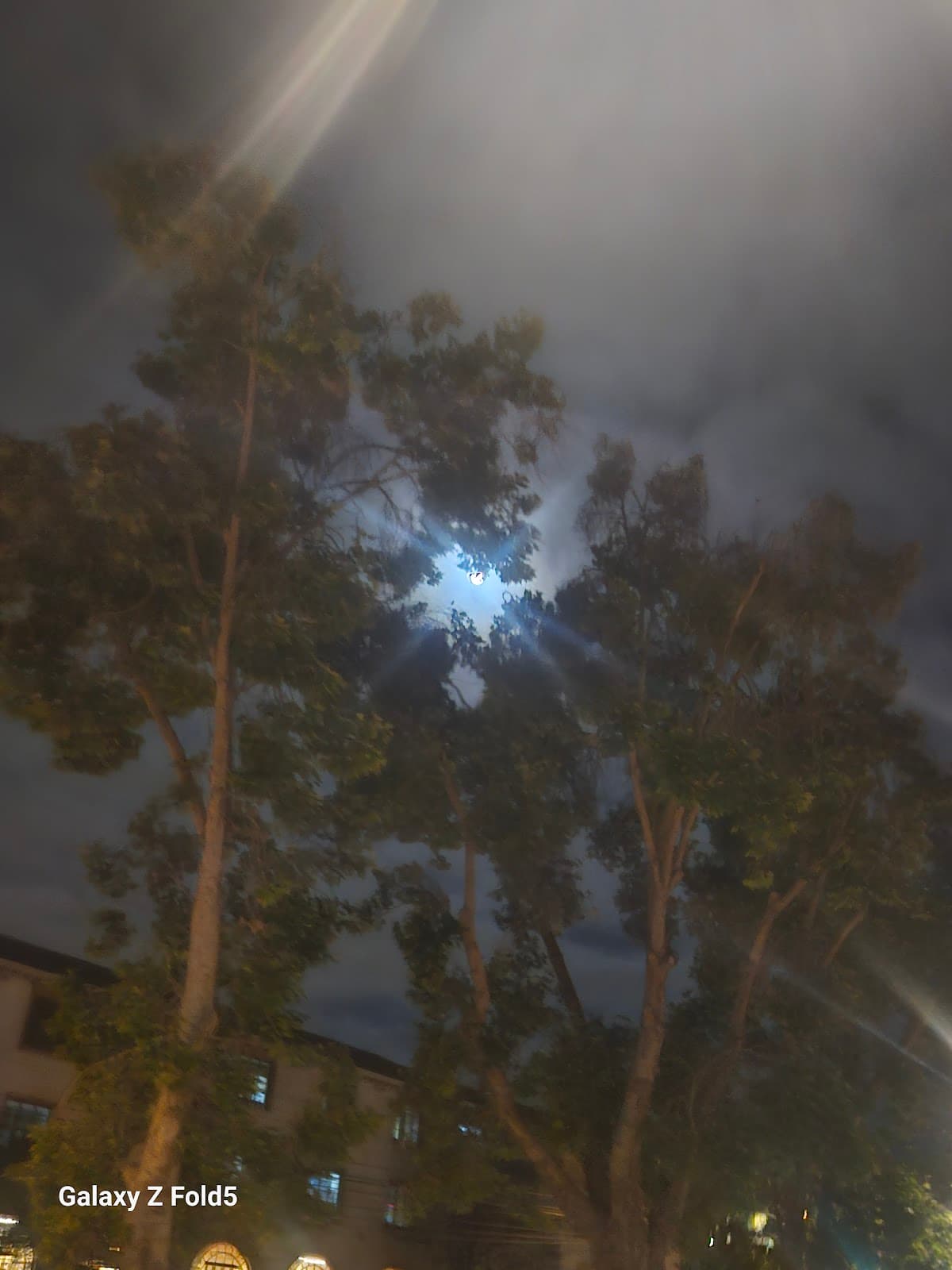 Avenida Francisco de Aguirre Sculptures - Image 1