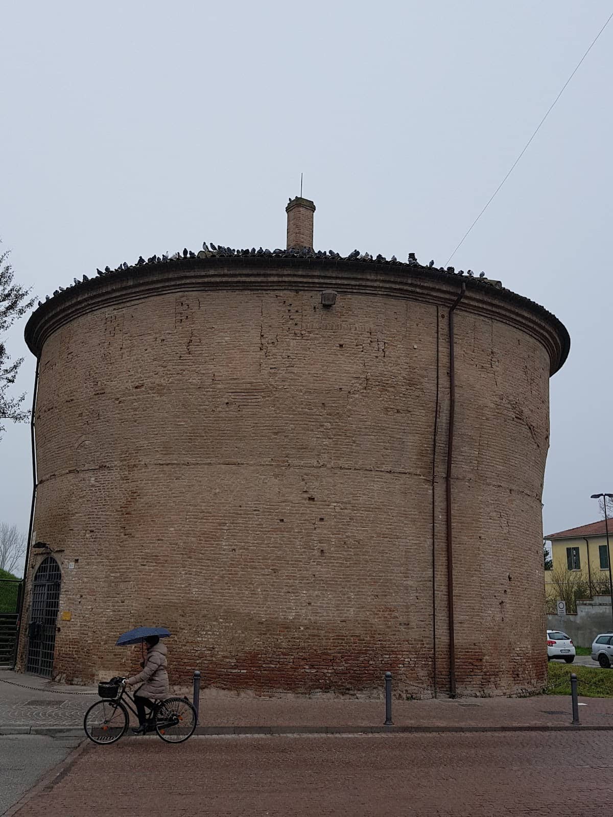Vertical photo