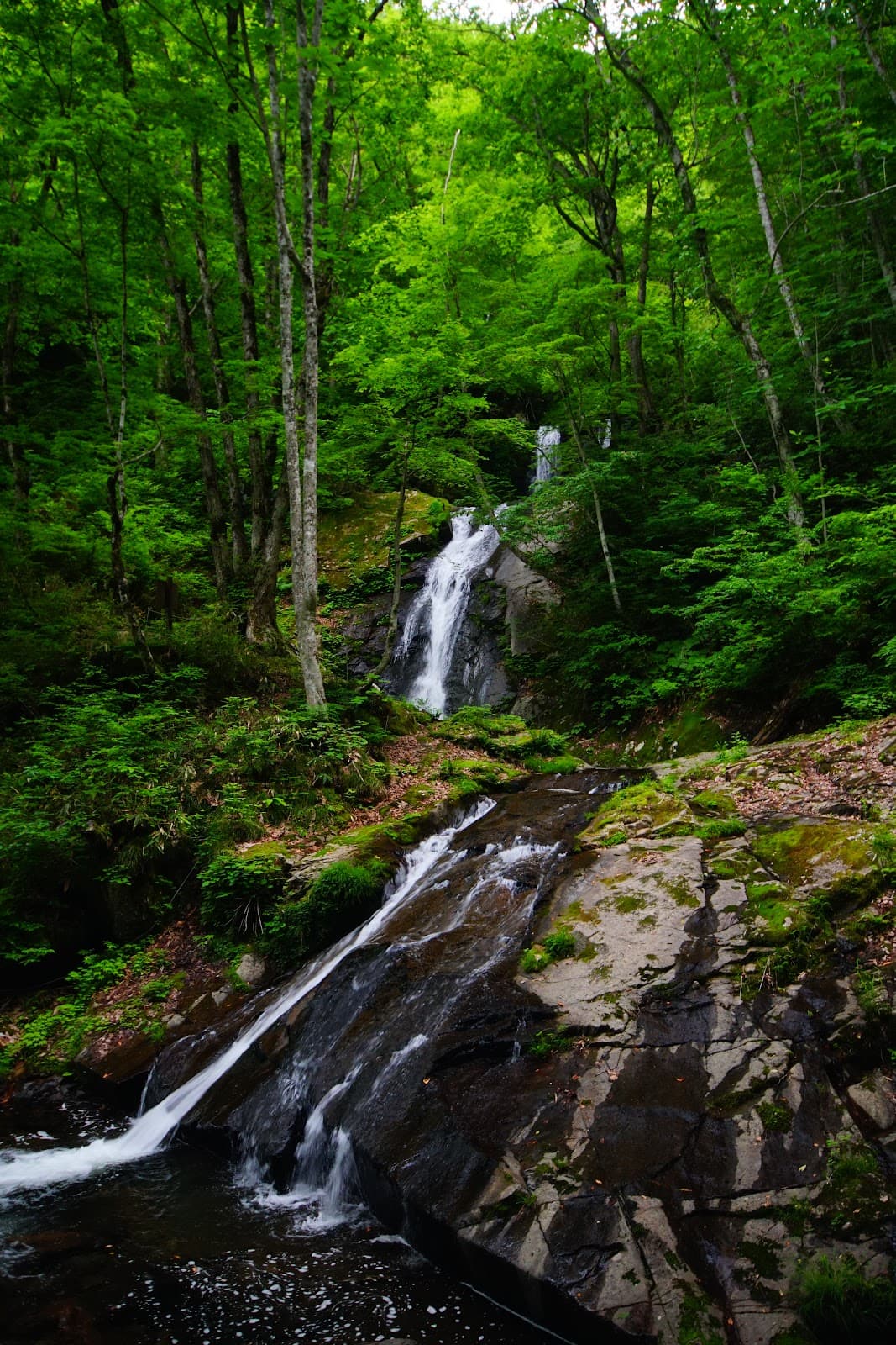 Utsue 48 Waterfalls - Image 1