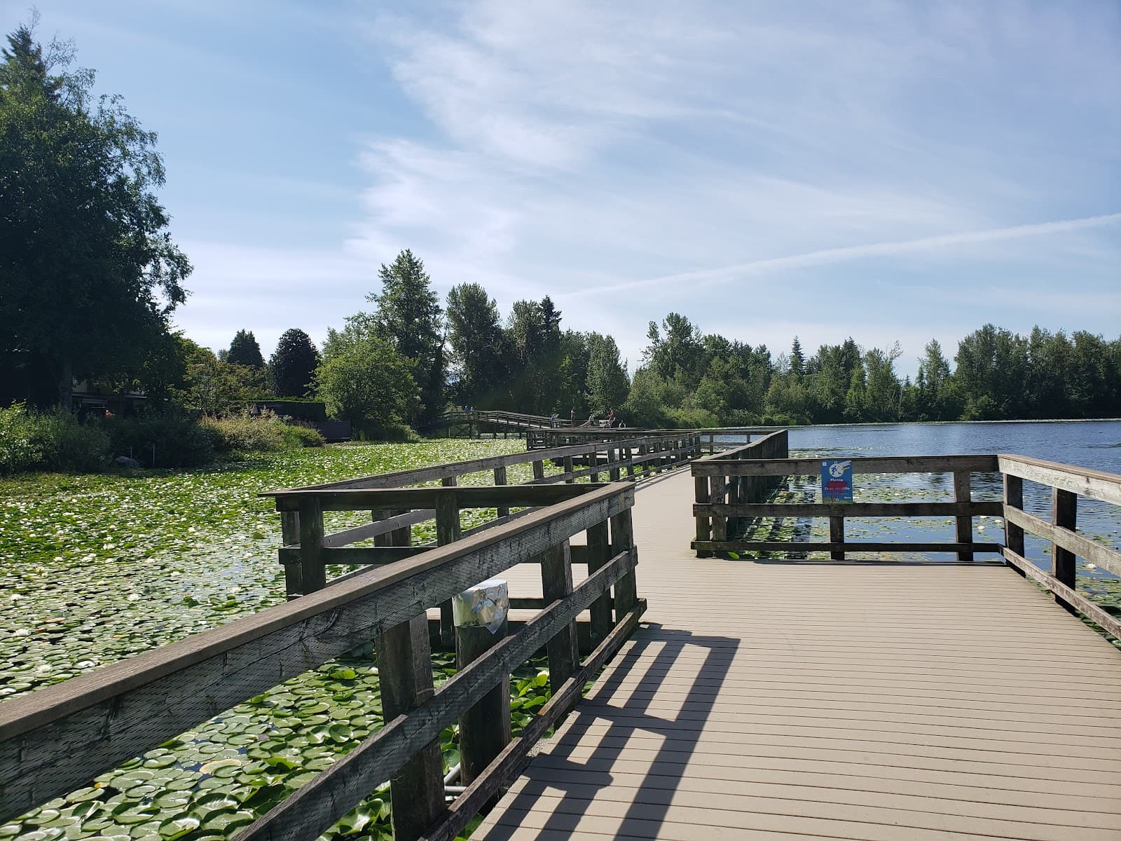 Mill Lake Park - Image 1