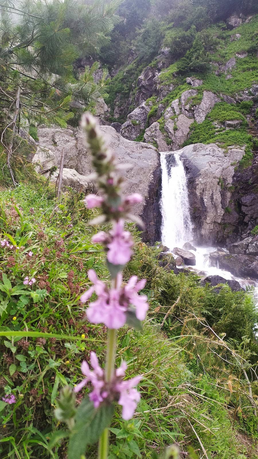 Katarnag Lake Trek