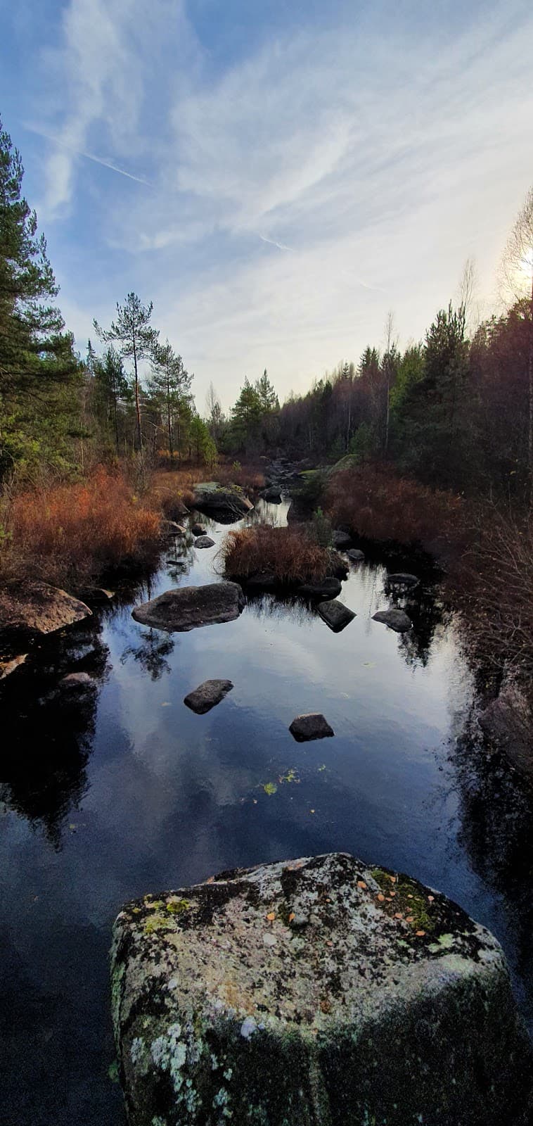 Notteryd Nature Reserve - Image 1