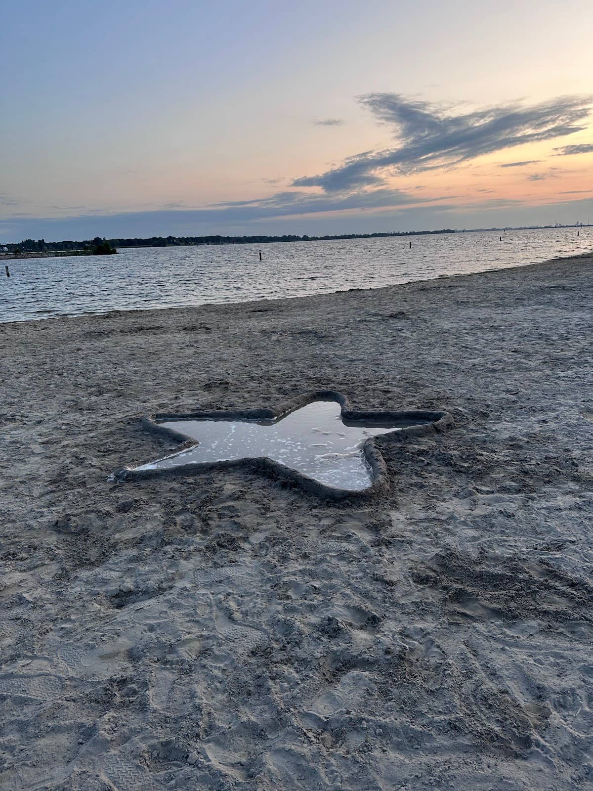 Community-Inspired Art