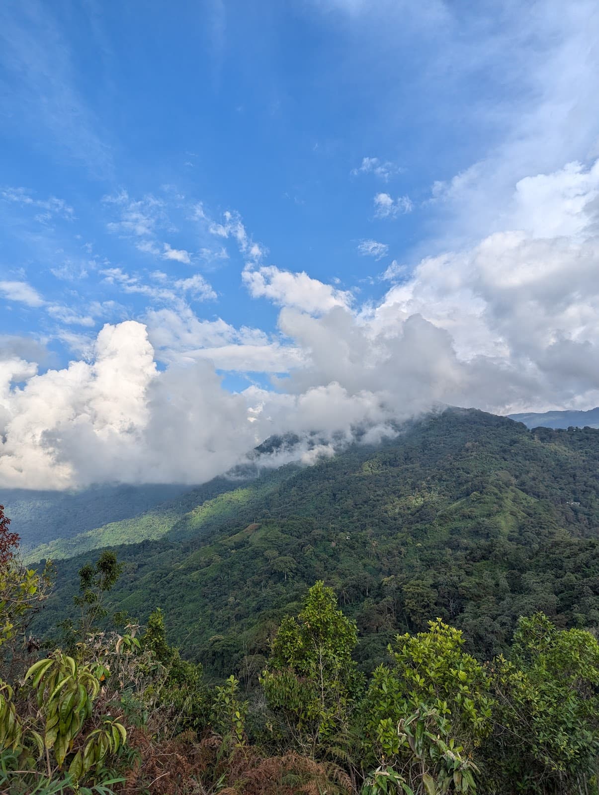 Mirador 360 - Image 1