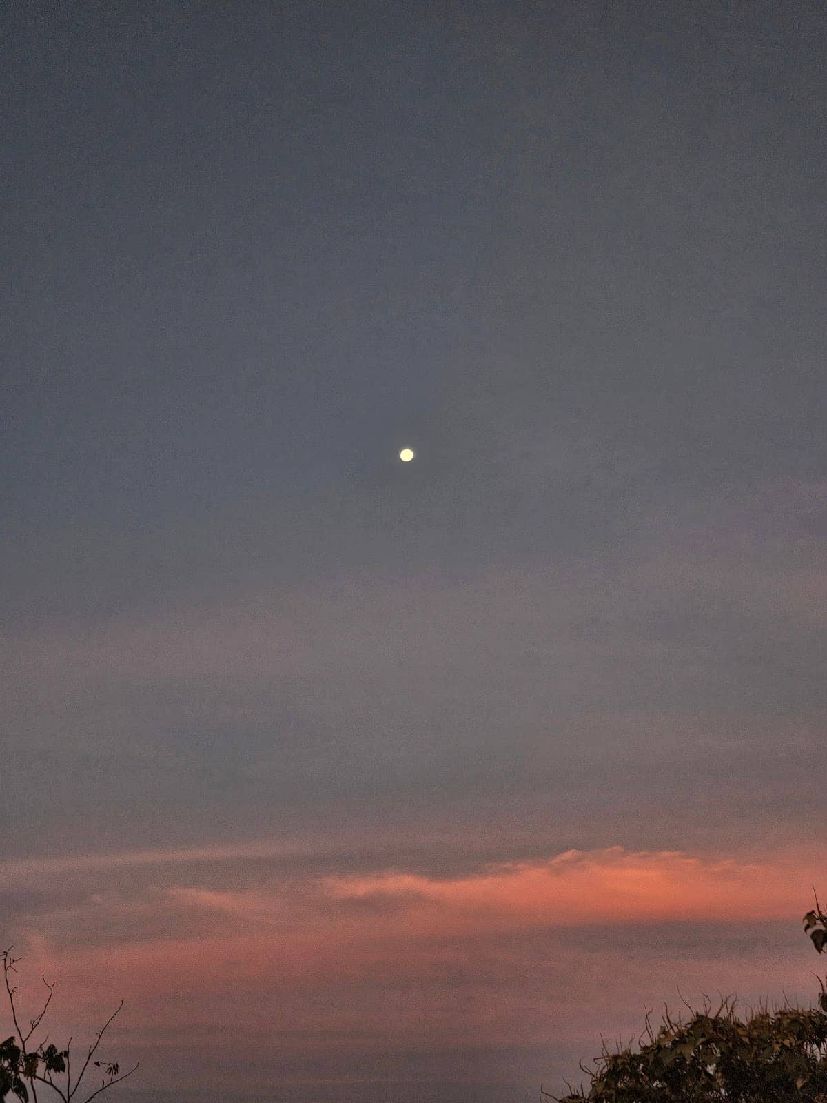 Vertical photo