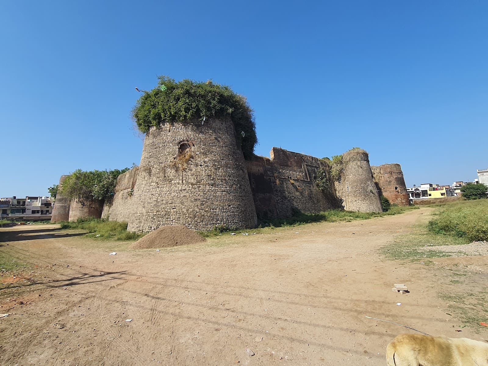 Manimajra Fort - Image 1