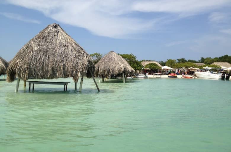 Bioluminescent Plankton Tour