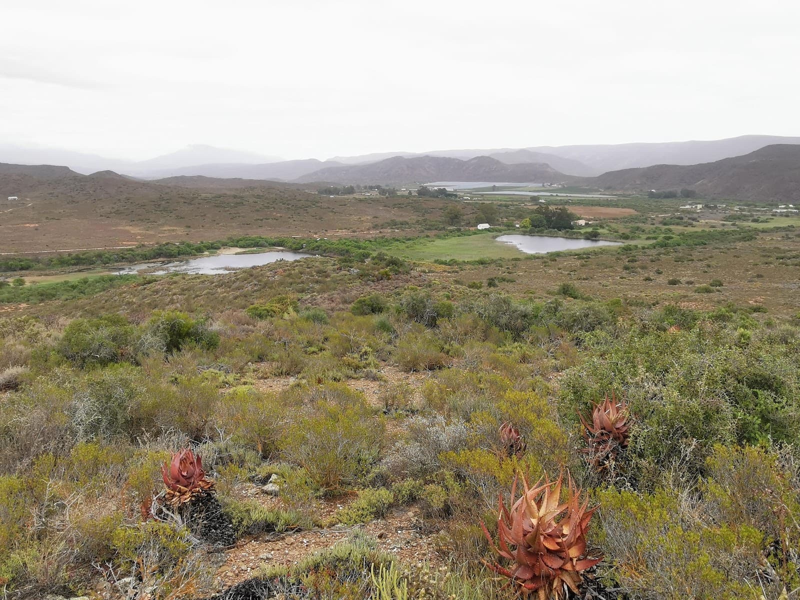 Vrolijkheid Nature Reserve - Image 1