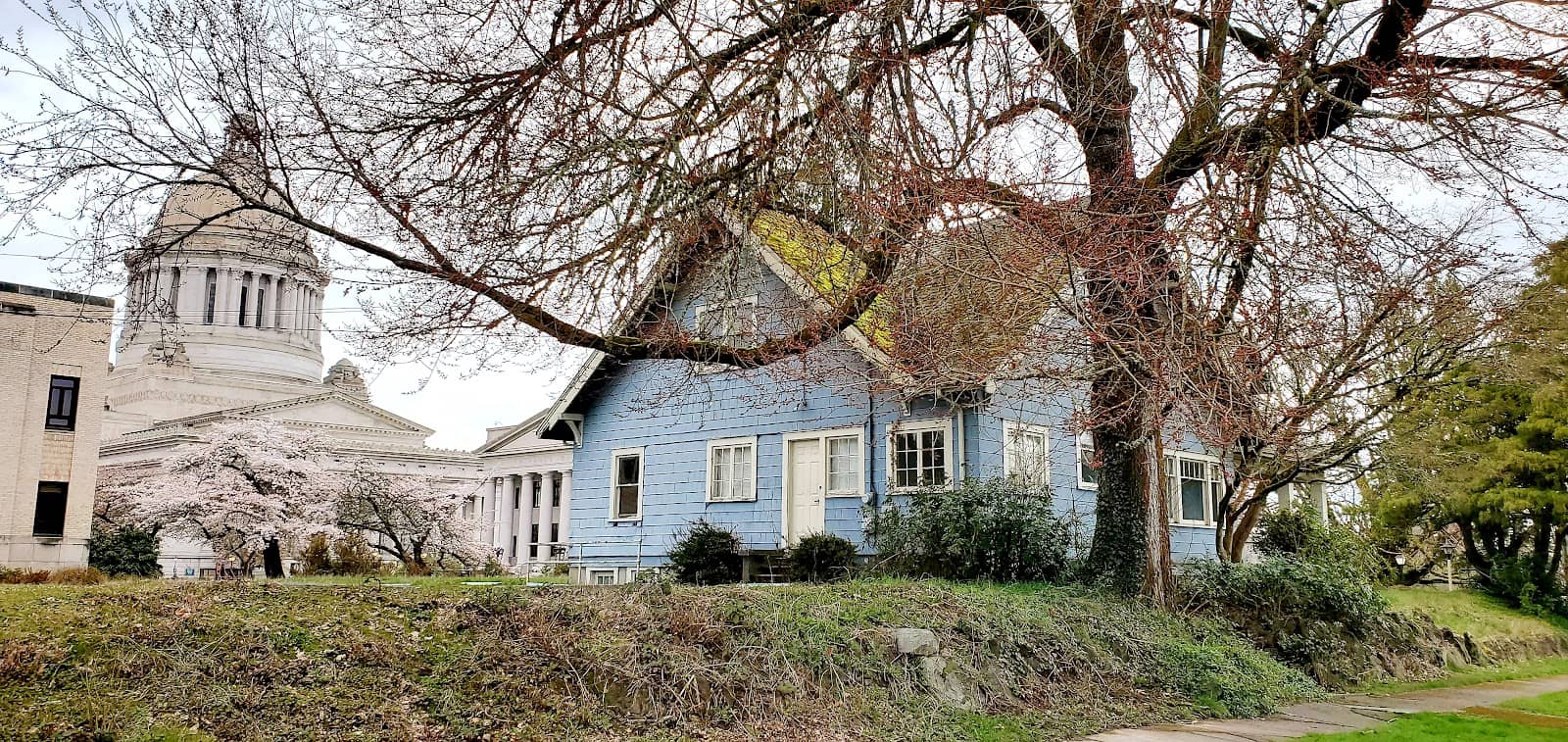 Local Boutiques & Shops