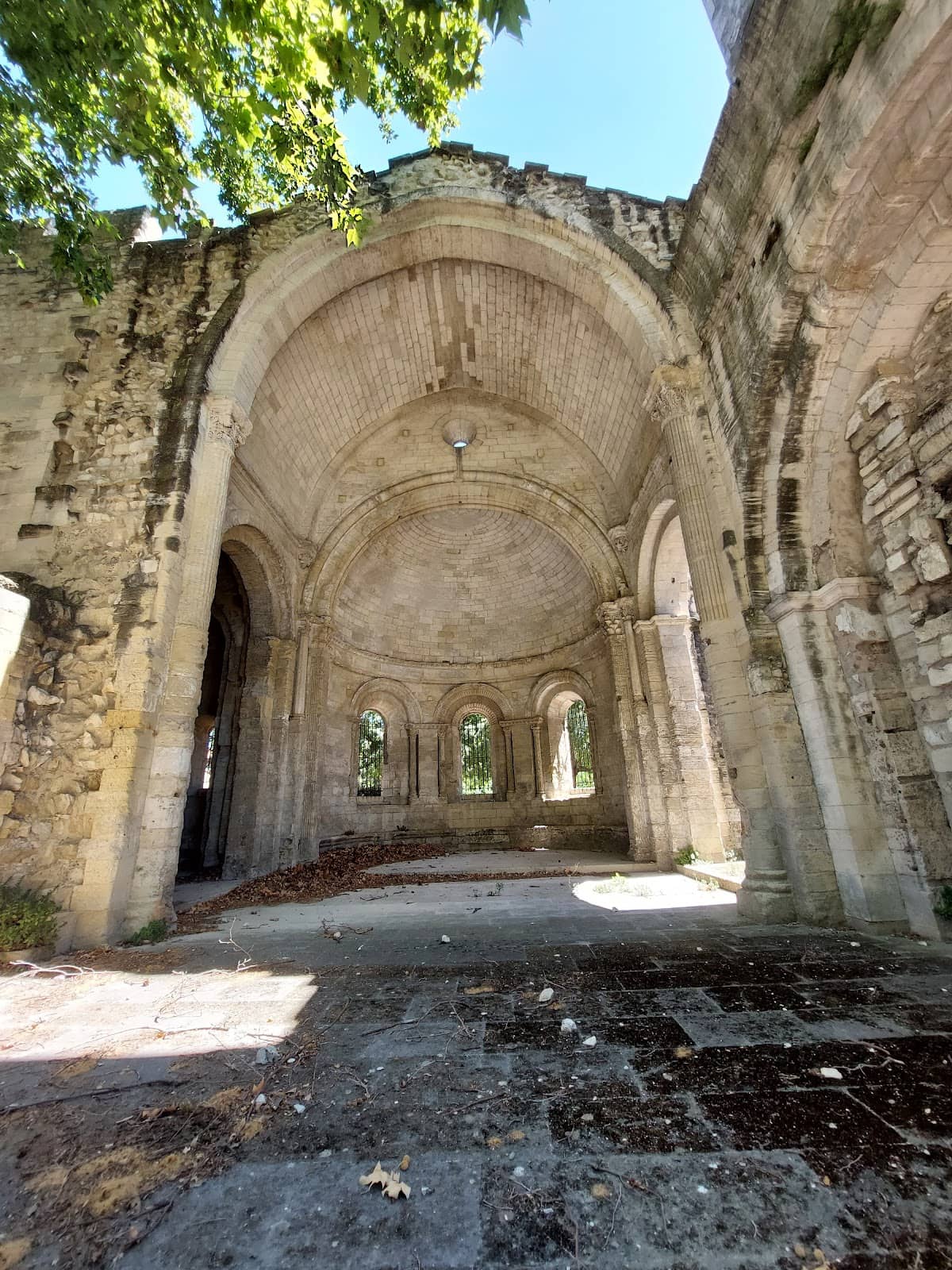 Peaceful Abbey Park