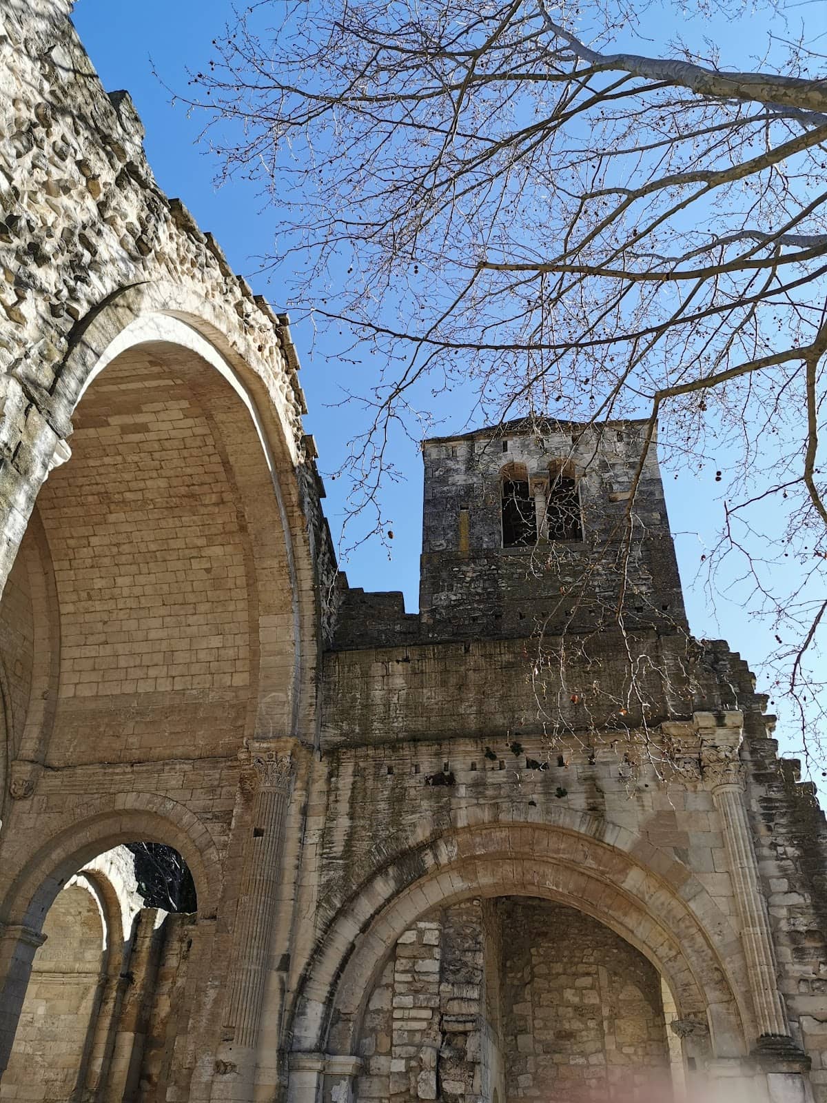 Vertical photo