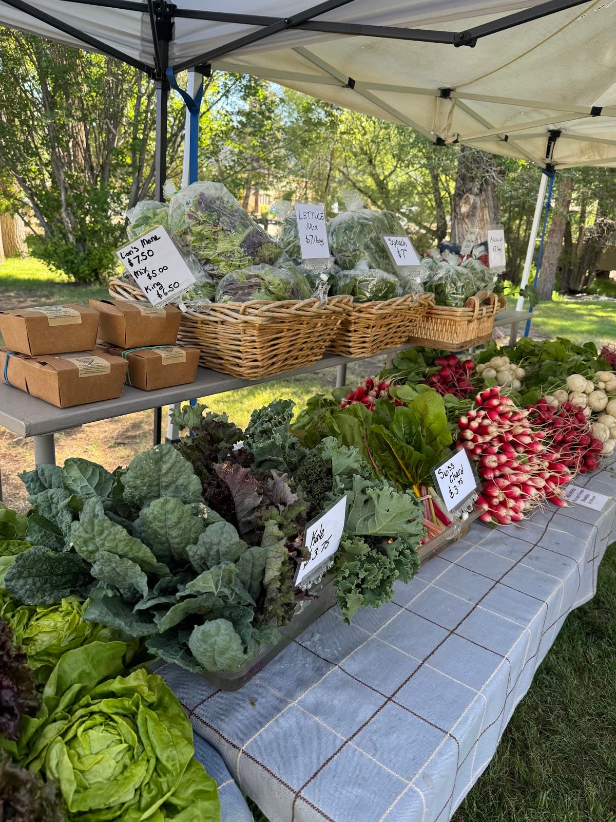 Salida Farmers Market - Image 1
