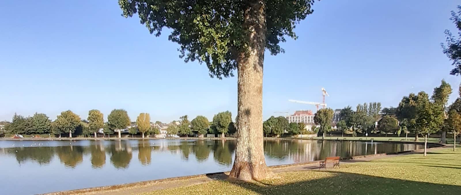 Local Bakeries & Cafes