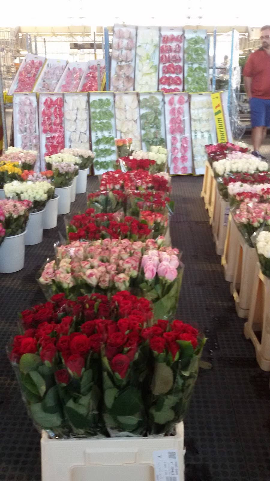 Wholesale & Retail Deals