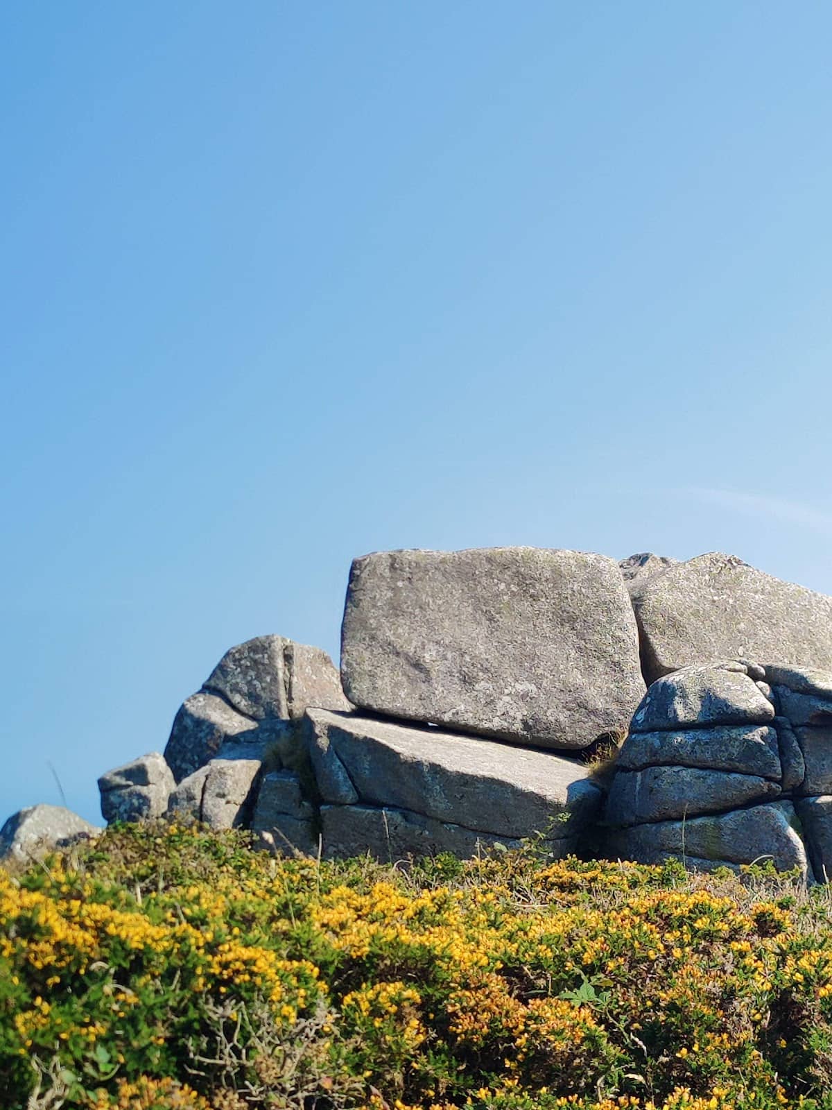 Diverse Trail Network