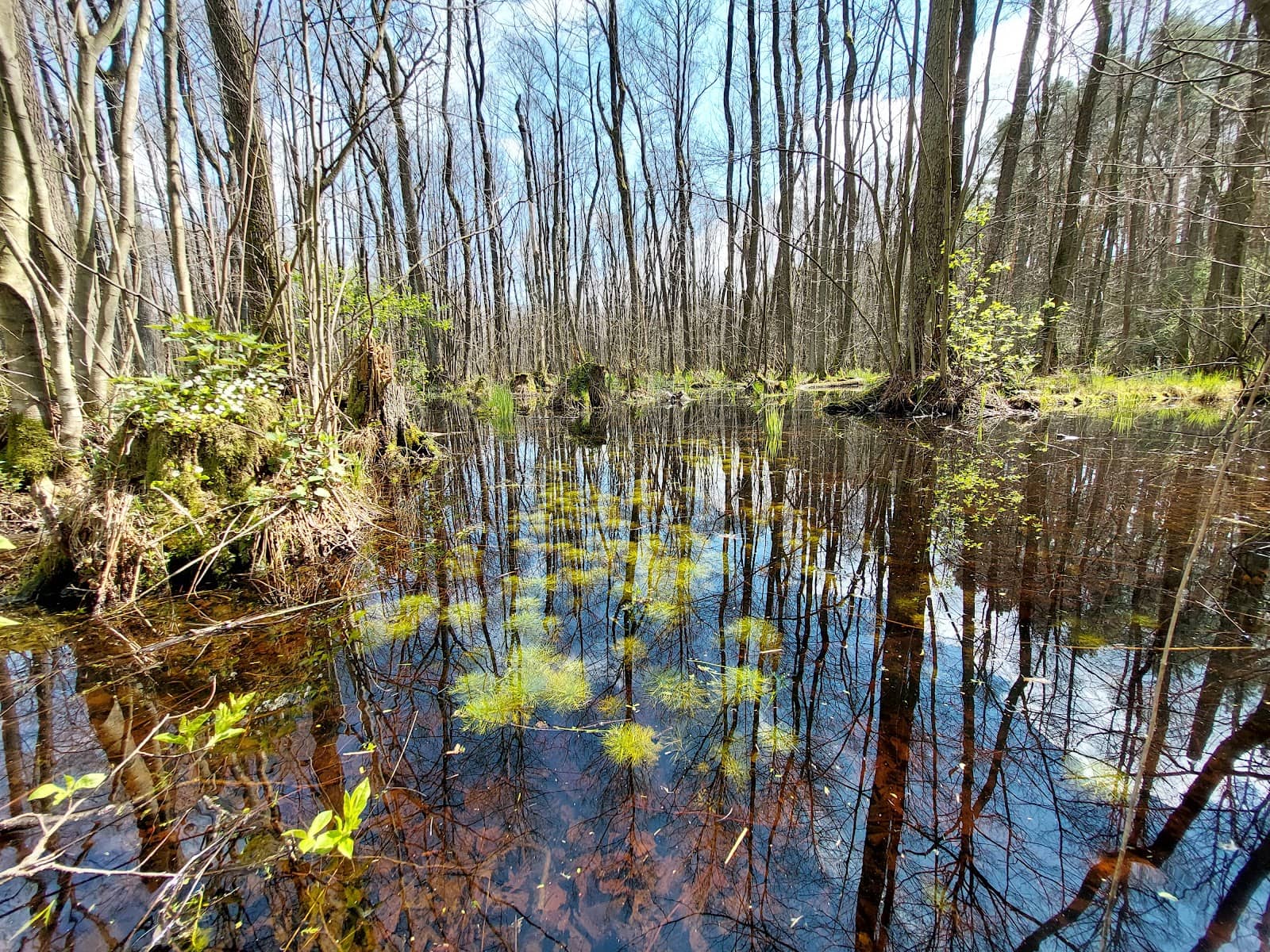 Historical WWII Bunkers