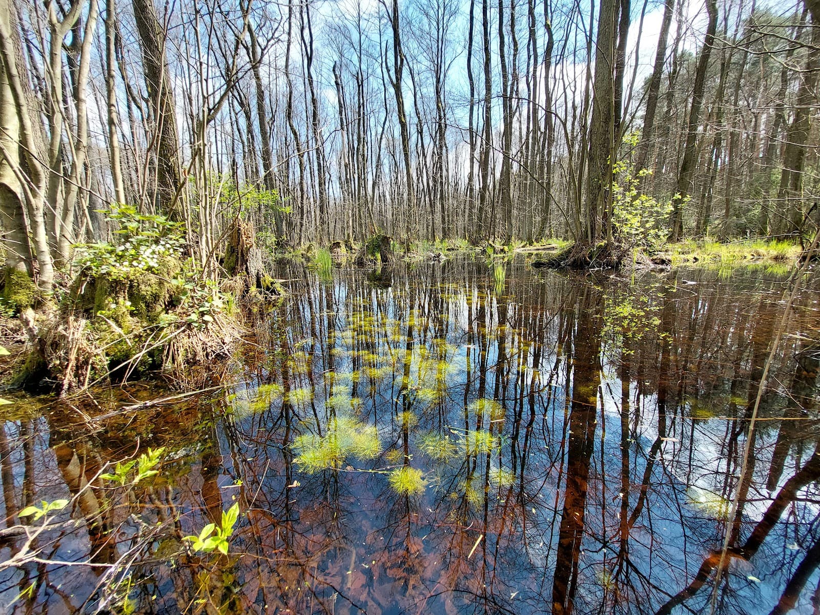 Kampinos National Park Warsaw - Image 1