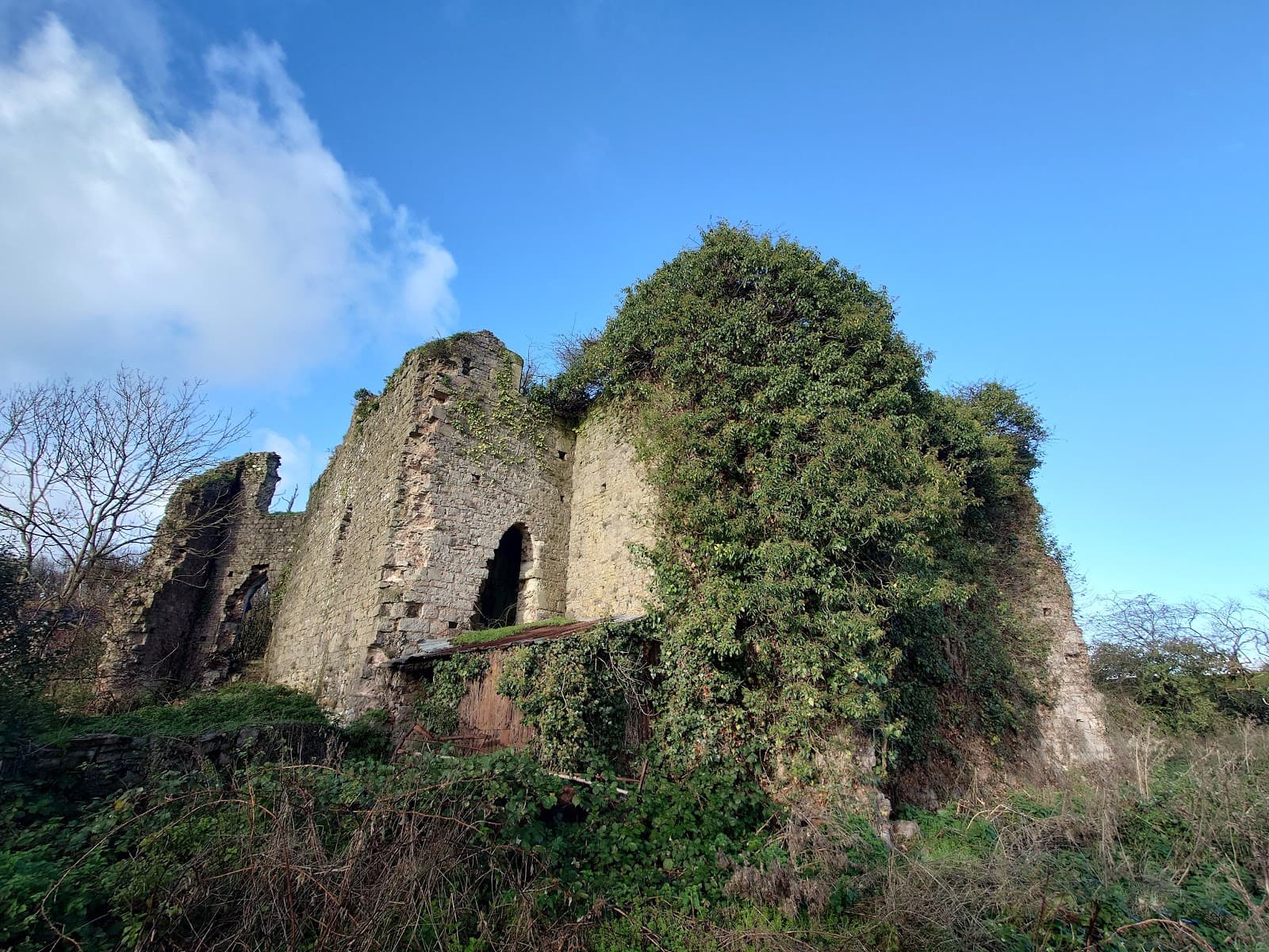 Canonsleigh Abbey Ruins - Image 1