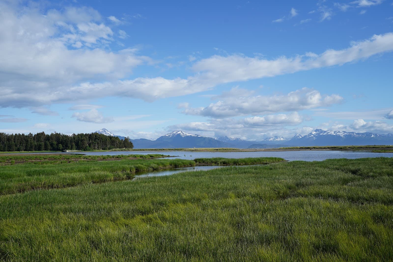 Beluga Slough Trail and Viewing Area - Image 1