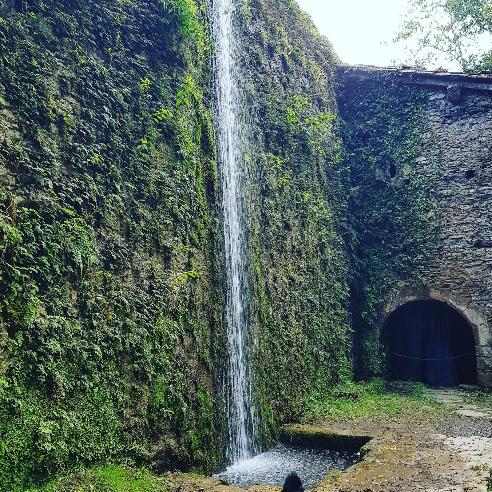 Pagoeta Natural Park - Image 1