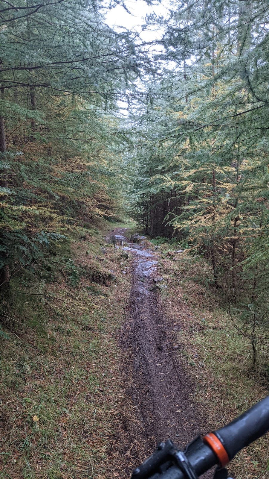 7stanes Innerleithen - Image 1