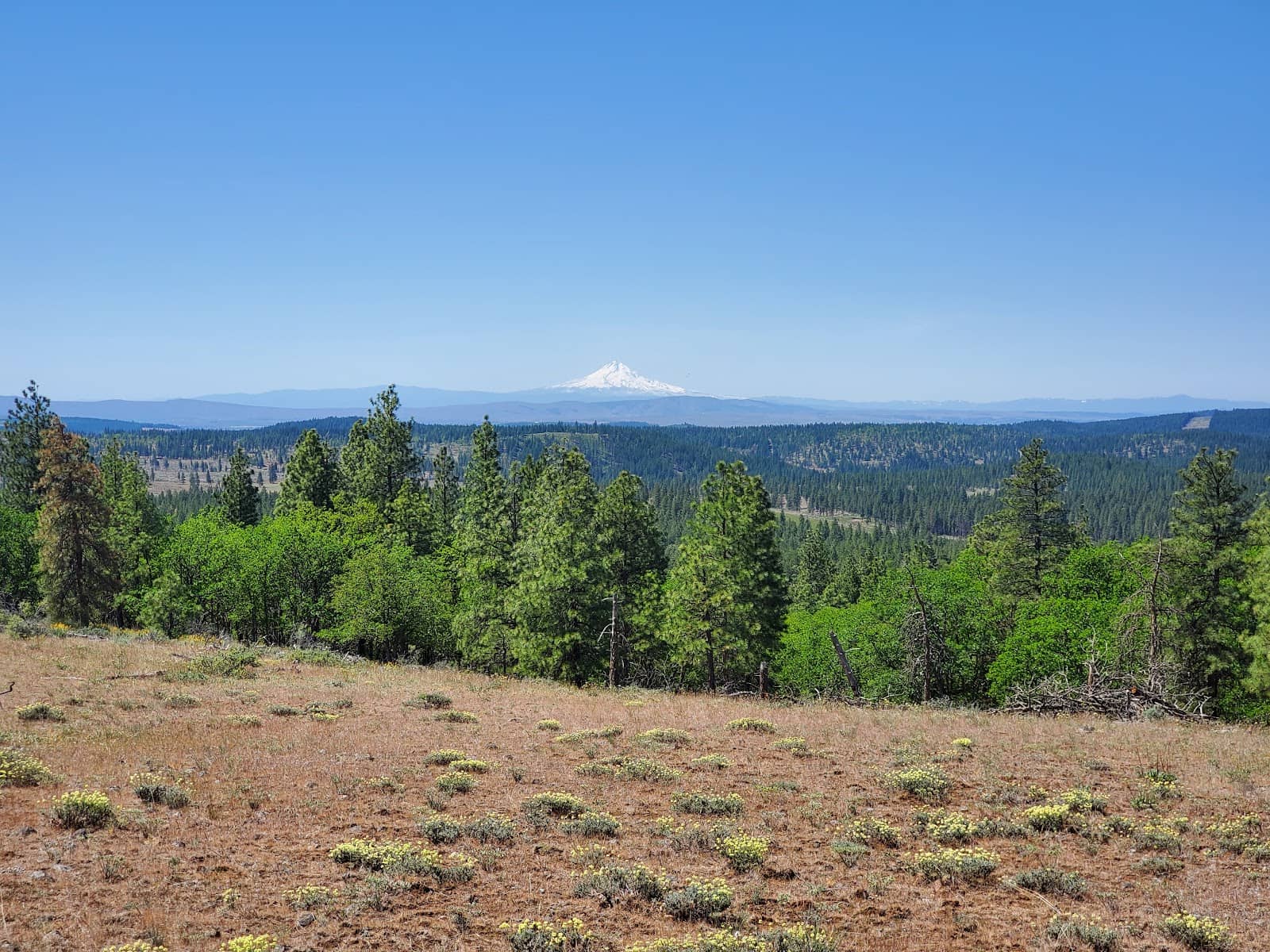 Bird Watching Opportunities