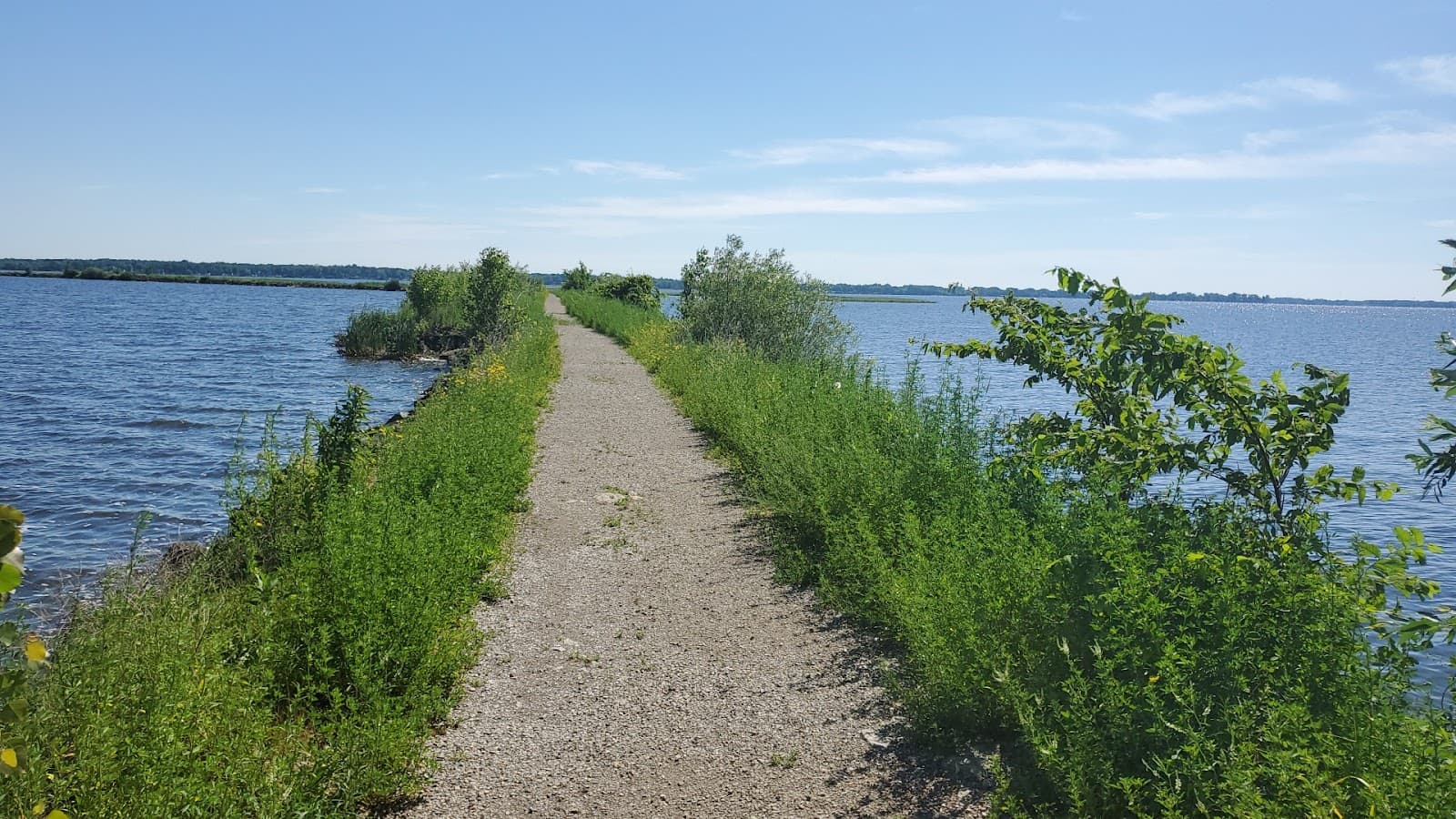 Terrell’s Island Trail - Image 1
