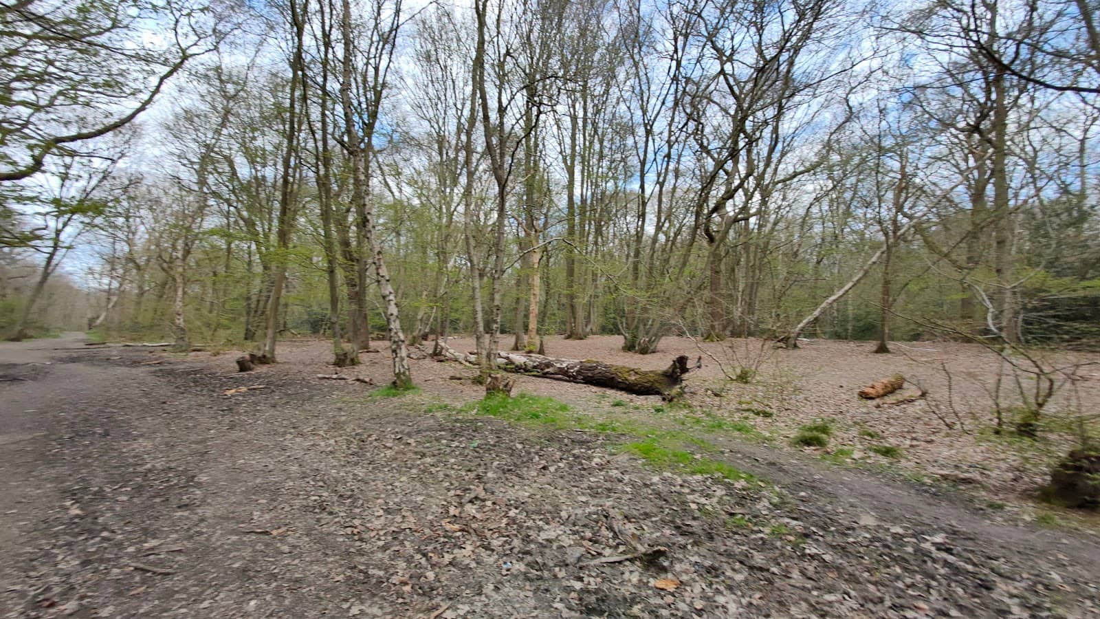 Open Meadows