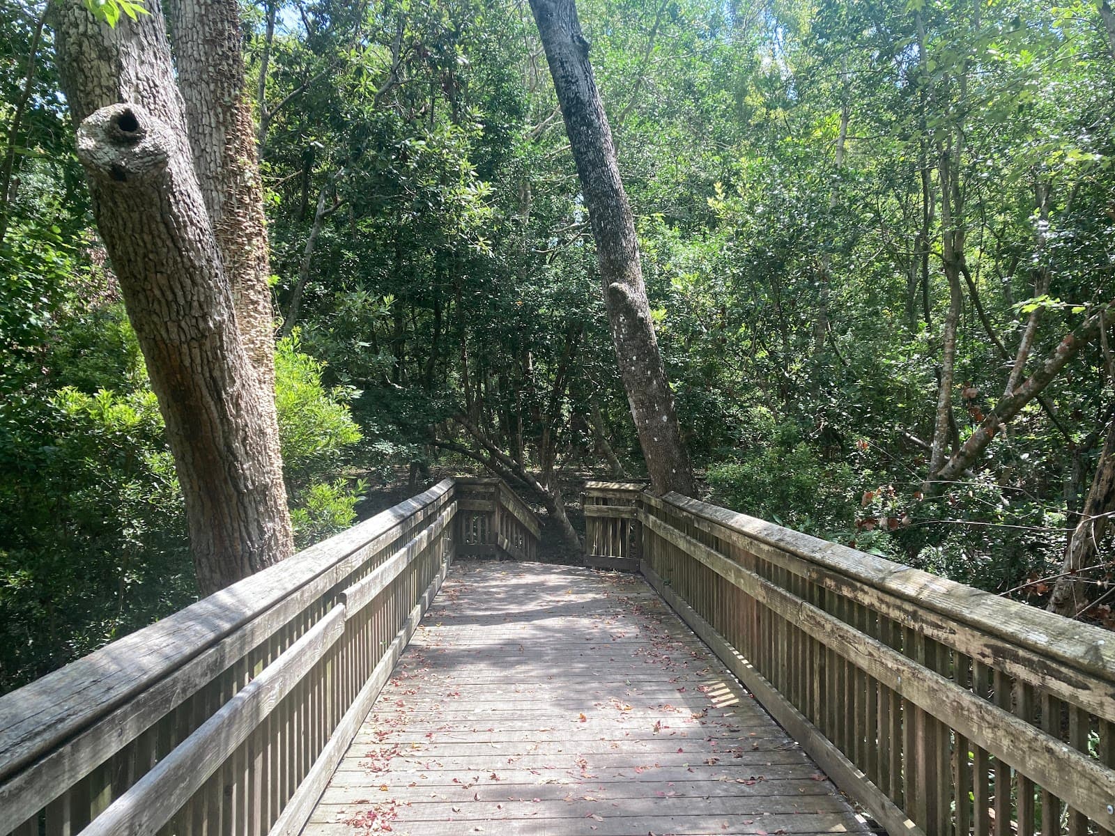Emerald Isle Woods Park - Image 1
