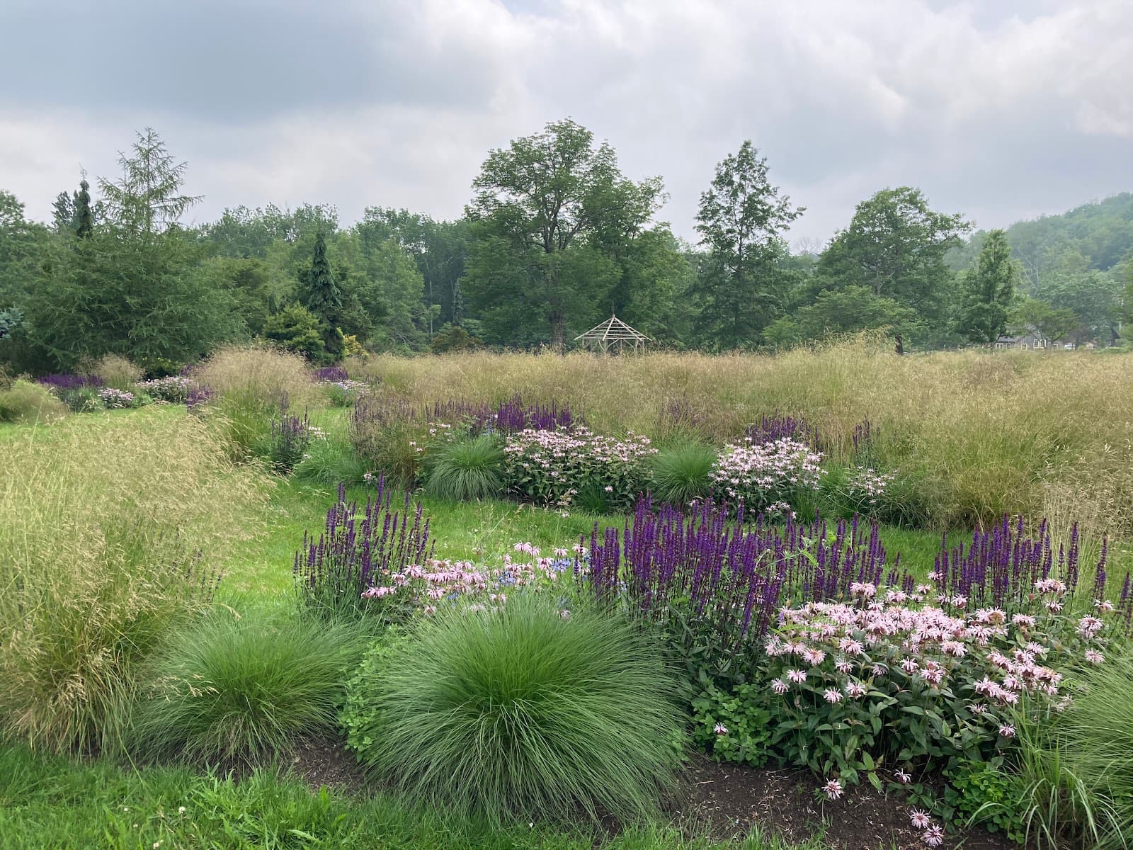 Mountain Top Arboretum Tannersville NY - Image 1