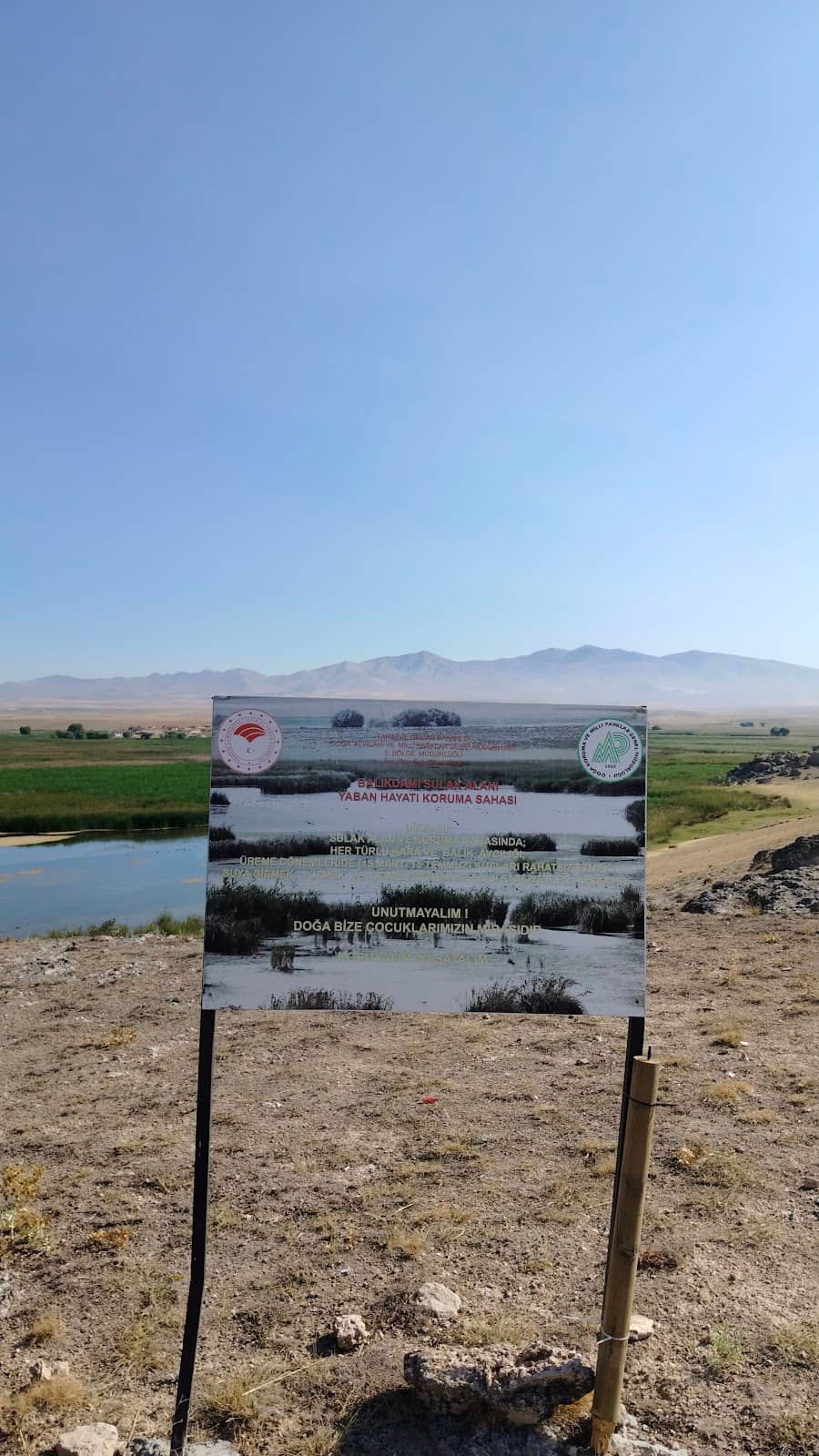 Birdwatching Opportunities