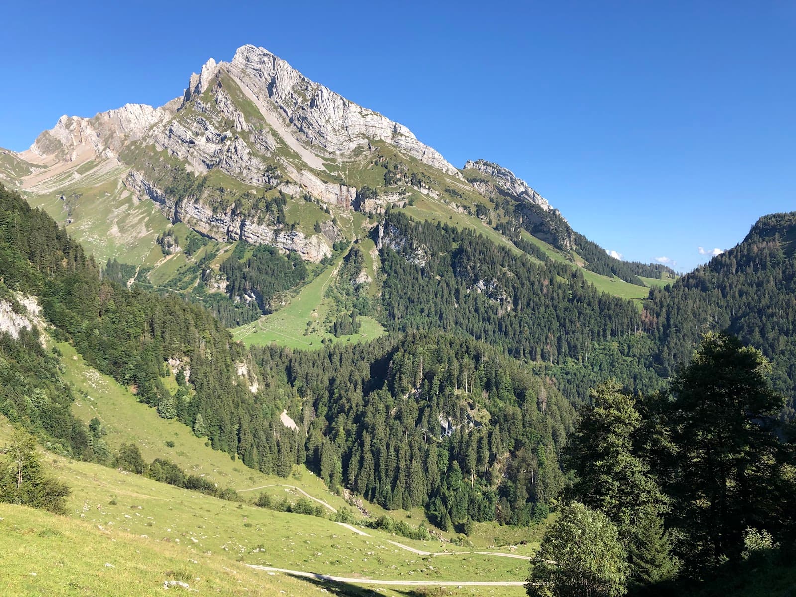 Wildhuser Schafberg Wildhaus - Image 1