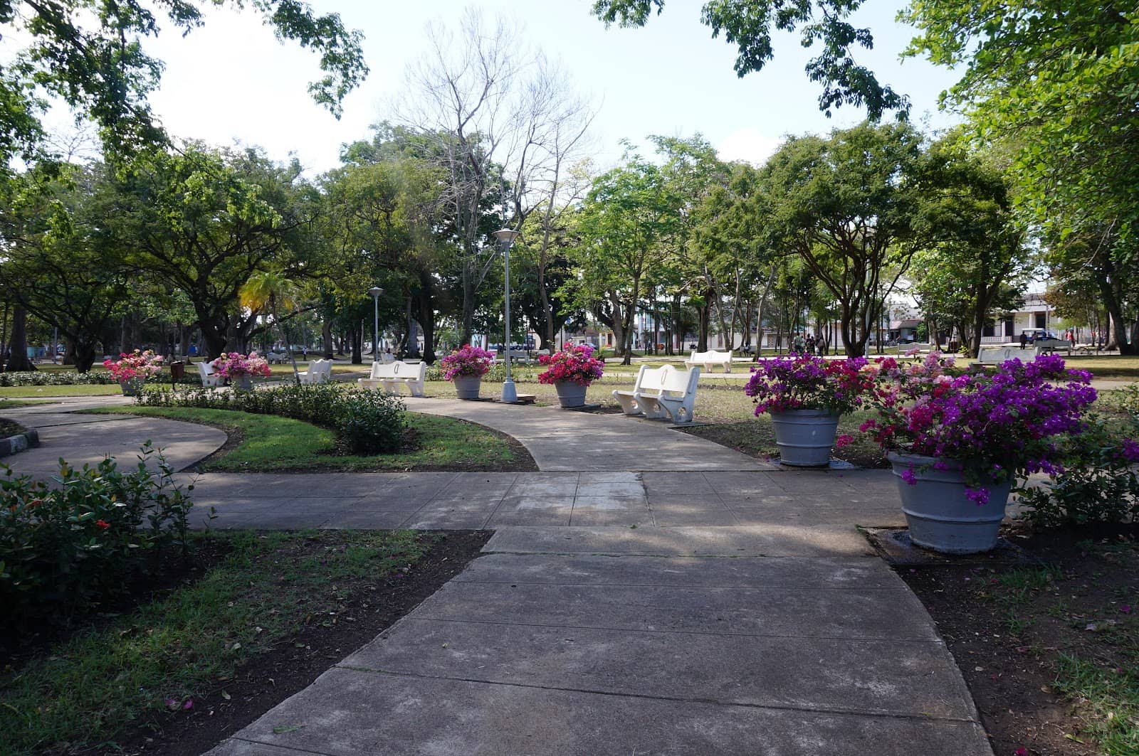 Historic Instituto