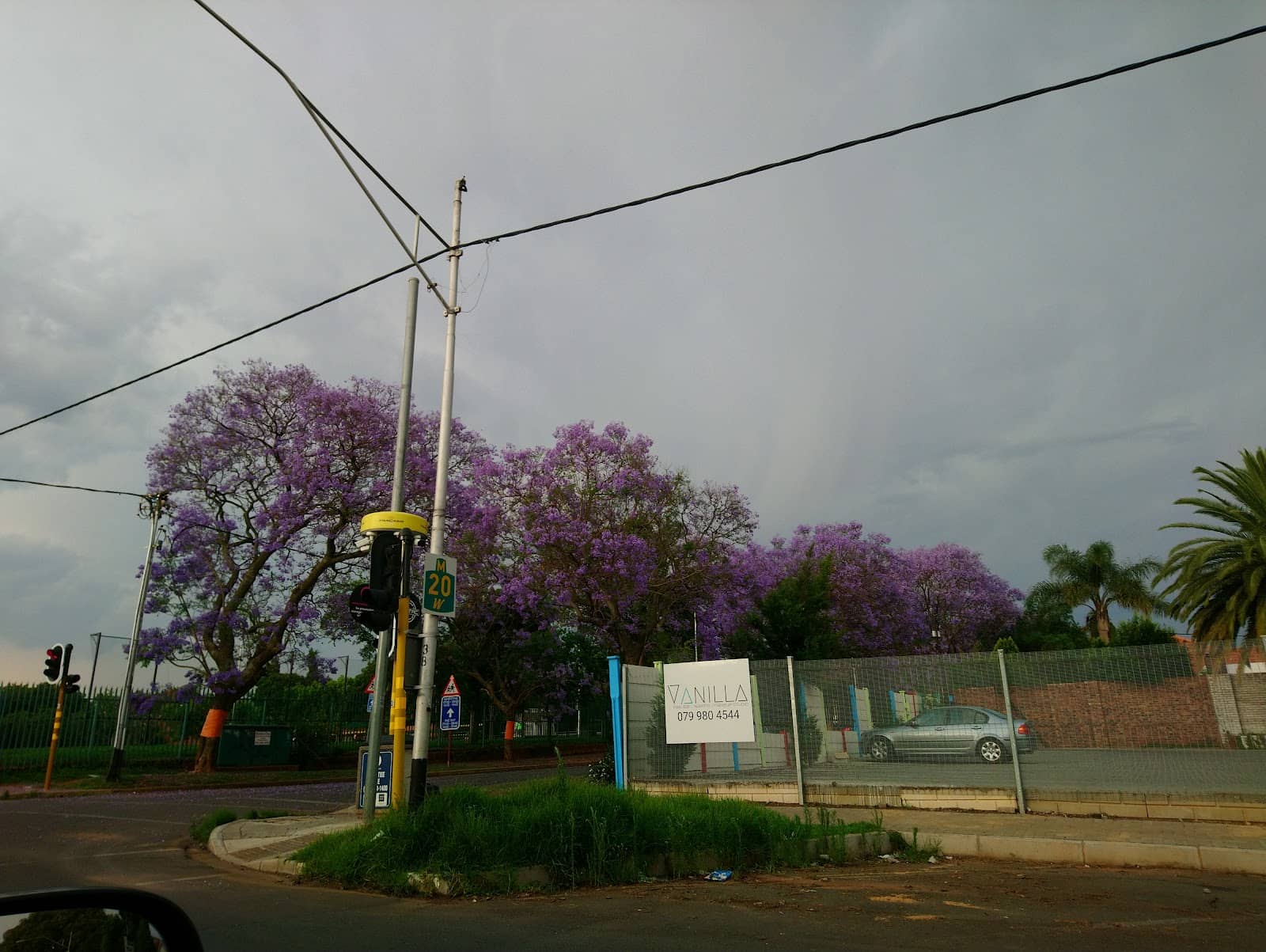 Thrifting Adventures