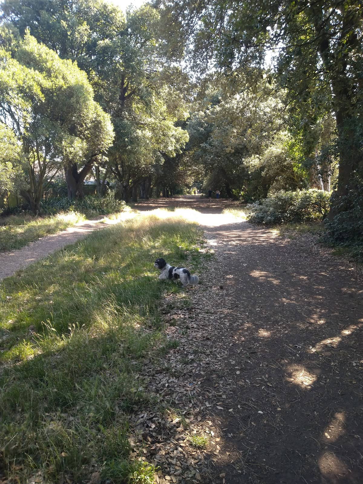 Artistic Installations