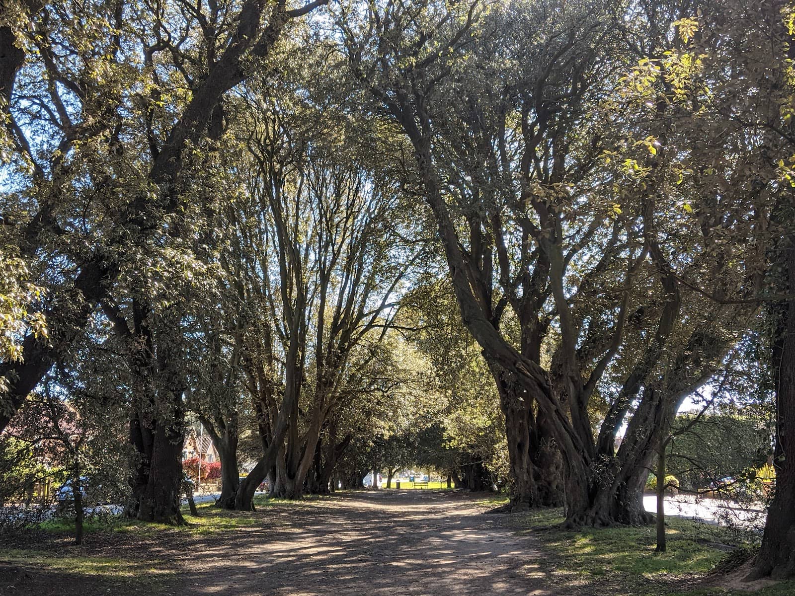 Vertical photo